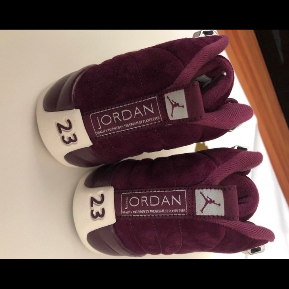 Air Jordan Retro 12 XII BORDEAUX WOMEN'S SAIL METALLIC SILVER NEW! IN BOX! 5Y - Picture 4 of 13
